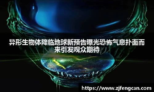 ng娱乐